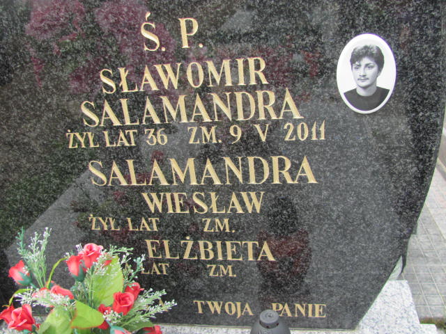 Sławomir Salamandra Kraśnik - Grobonet - Wyszukiwarka osób pochowanych